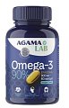 Купить agama lab (агама лаб) омега-3 90%, капсулы, 60 шт бад в Нижнем Новгороде