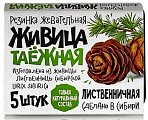 Купить живица таежная смолка жевательная, 5 шт в Нижнем Новгороде