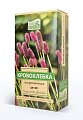 Купить кровохлебка лекарственная наследие природы, пачка 50г бад в Нижнем Новгороде